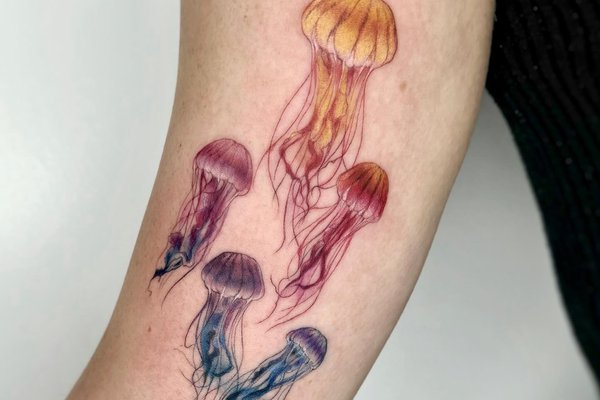 meduusa tätoveering