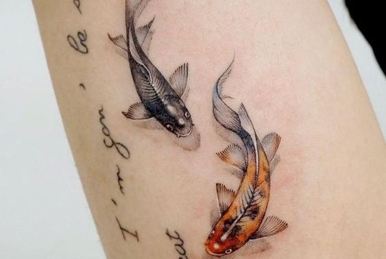 koi fish tattoo