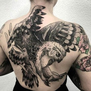 owl tattoo