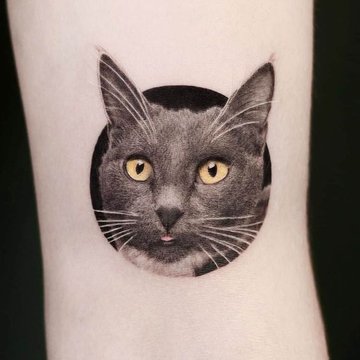 тату кот