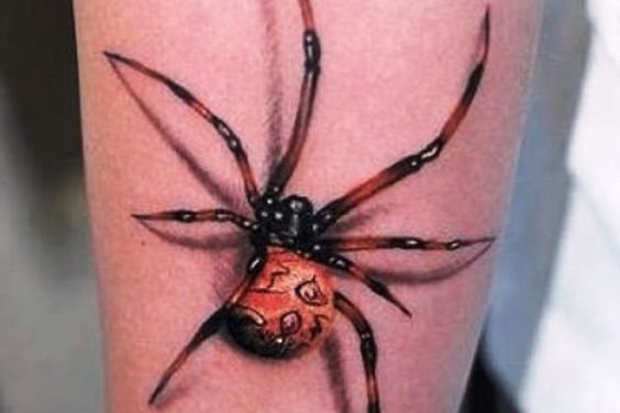 spider tattoo